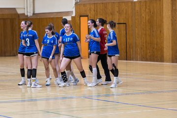 Bild 314 - wBJ TSV Ellerau - HSG Stoertal Hummeln : Ergebnis: 26:19